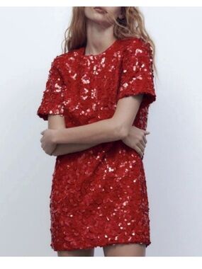 Zara Sequin Short Sleeve Shift Dress
